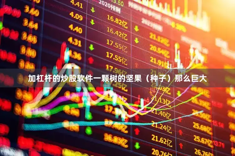 加杠杆的炒股软件一颗树的坚果（种子）那么巨大