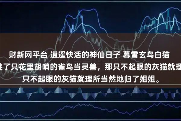 财新网平台 逍遥快活的神仙日子 暮雪玄鸟白猫 重生前，我给自己挑了只花里胡哨的雀鸟当灵兽，那只不起眼的灰猫就理所当然地归了姐姐。