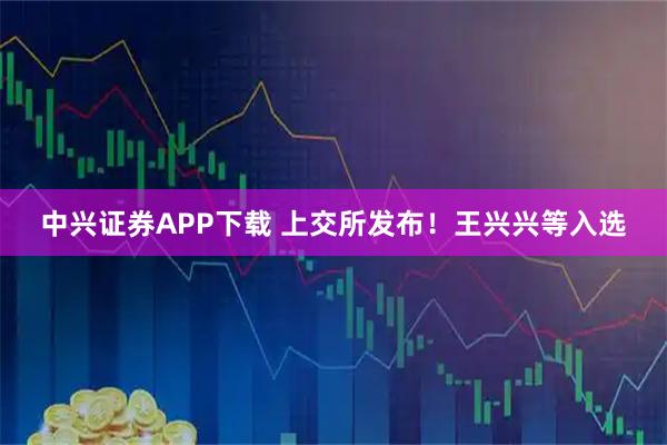 中兴证券APP下载 上交所发布！王兴兴等入选
