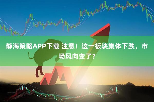 静海策略APP下载 注意!这一板块集体下跌,市场风向变了?
