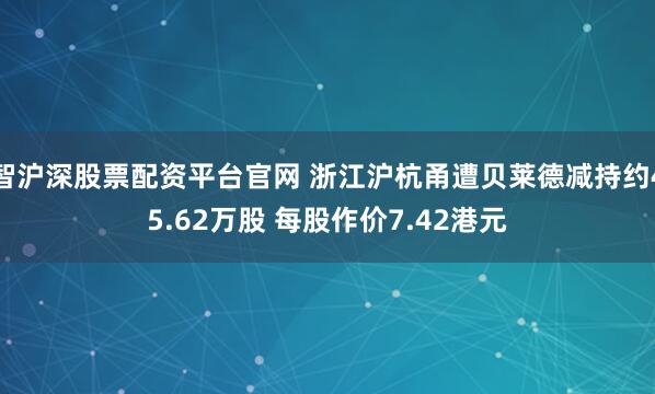 智沪深股票配资平台官网 浙江沪杭甬遭贝莱德减持约45.62万股 每股作价7.42港元